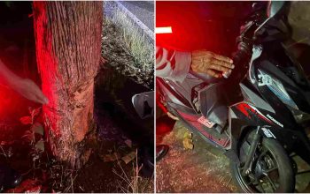 Motor Honda Beat Tabrak Pohon Jati di Patuk, Pelajar SMK Meninggal Dunia
